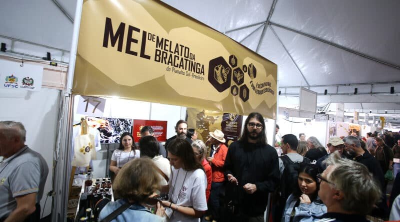 feira do mel florianópolis